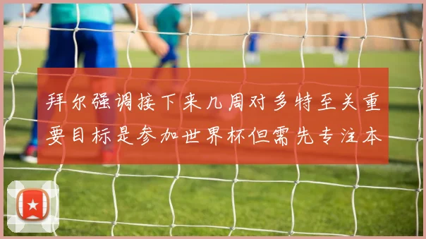 拜尔强调接下来几周对多特至关重要目标是参加世界杯但需先专注本赛季表现