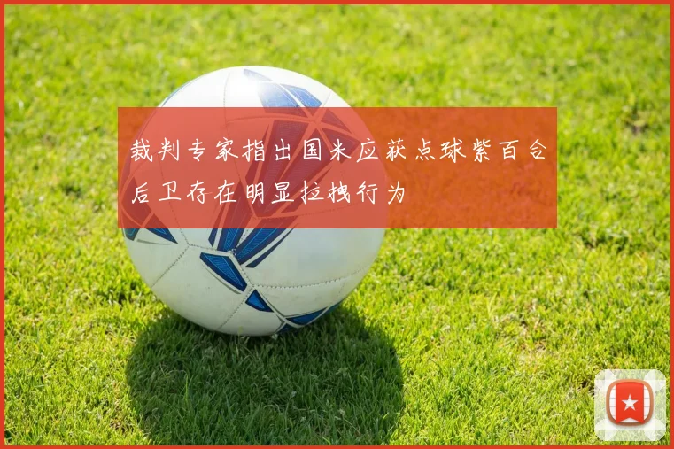 裁判专家指出国米应获点球紫百合后卫存在明显拉拽行为