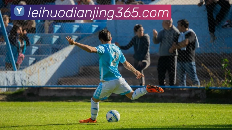 雷火电竞平台生态图